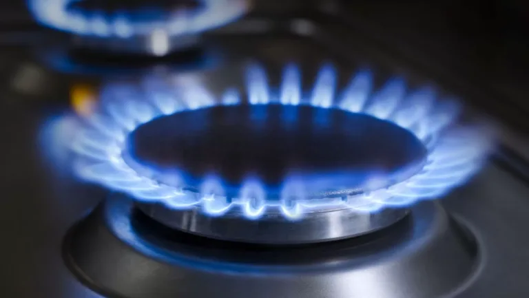 Professional Gas Fitters in Adelaide: The Experts Behind Every Safe Flame